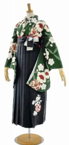 卒業式 袴 ネットレンタル 新作 大正レトロ かわいい 和柄 大人っぽい 上品な 大学卒業式 人気