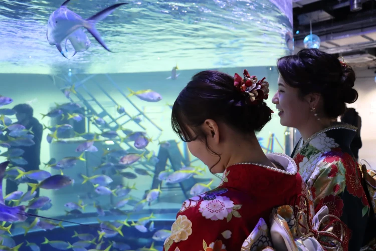 成人式振袖ネットレンタル フリソデドール 撮影 前撮り 水族館